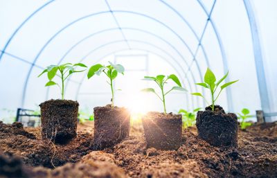 Environmental Stability