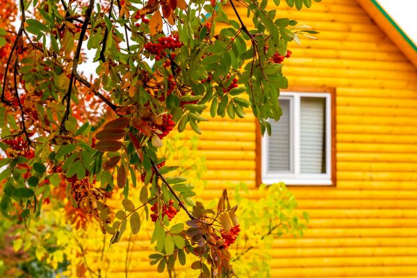 Garden Window Replacement in Hutto